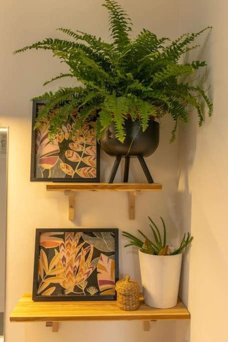 Appartement Le Cocon Urban Jungle - Calme Et Lumineux