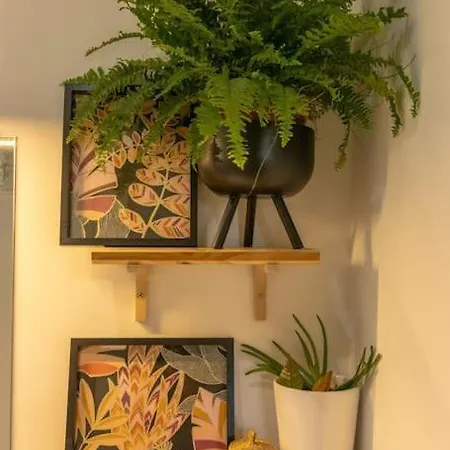 Appartamento Le Cocon Urban Jungle - Calme Et Lumineux Montélimar Esterno foto